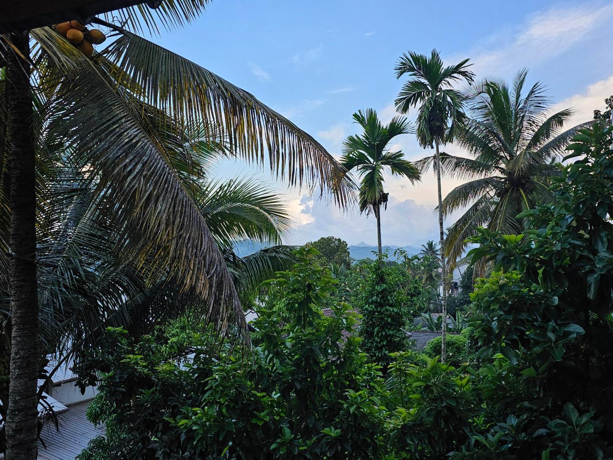 The Lodge Kandy Kültér fotó